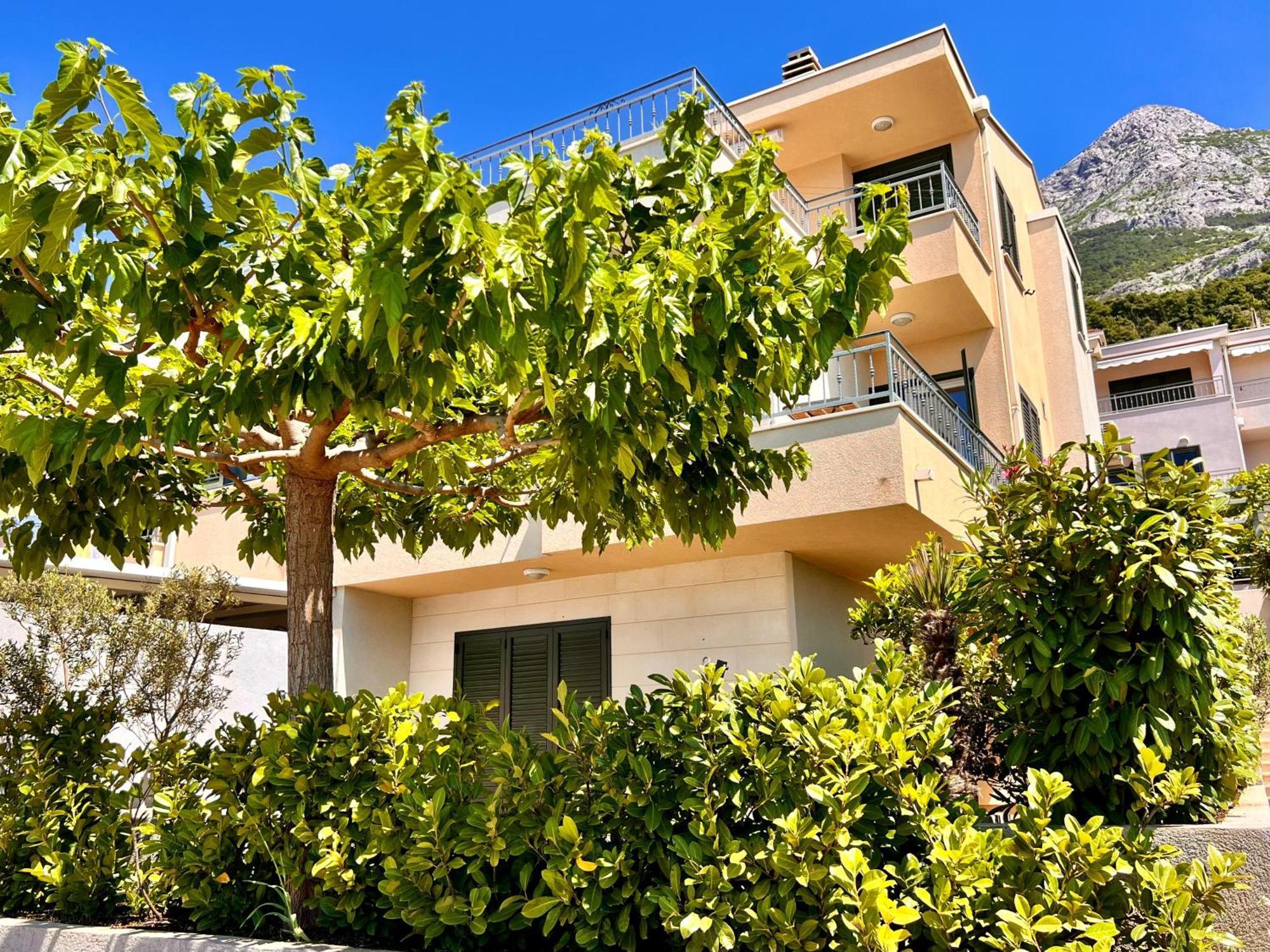 מאקרסקה Apartament Crolife מראה חיצוני תמונה